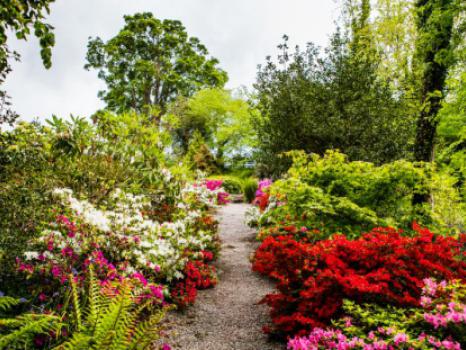 Plas Cadnant Hidden Gardens