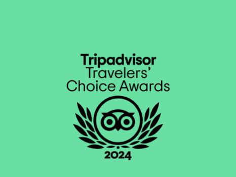 Celticos has received the Traveller's Choice 2024 award from TripAdvisor