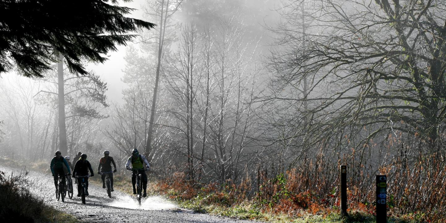 Off road cycling in Coed y Brenin